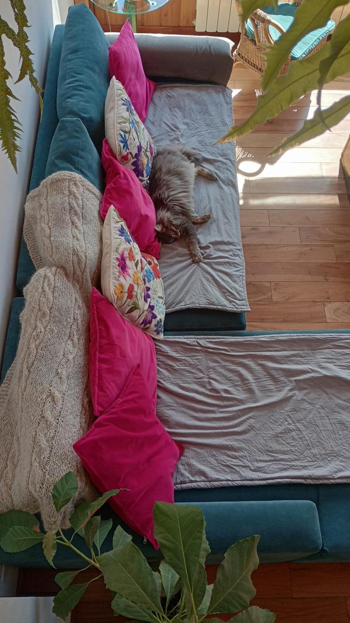 Buena Vista Loft - Tranquilidad Y Conexion